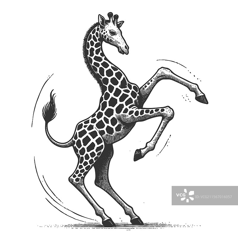 跳舞的长颈鹿雕刻图片素材