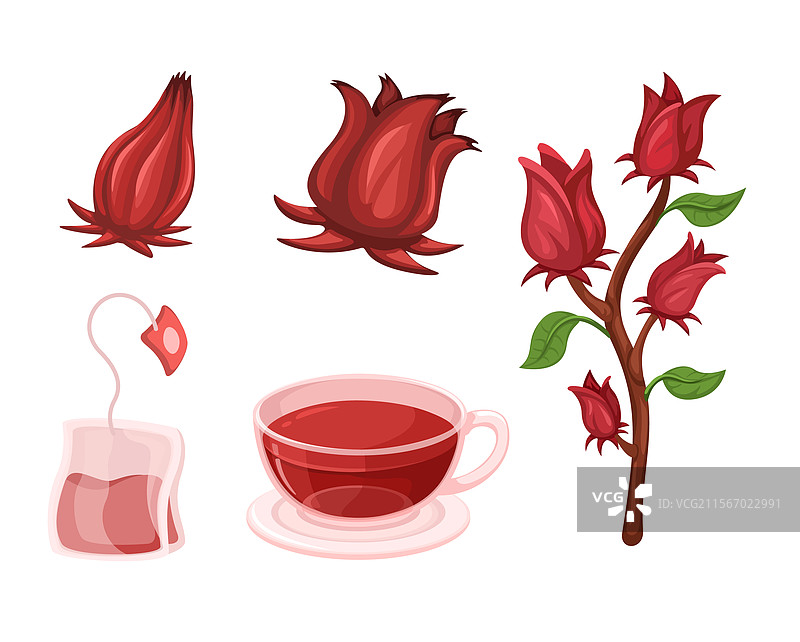 洛神花茶系列套装图片素材