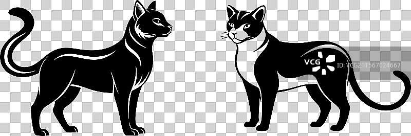 可爱的猫咪，终极的猫科伴侣图片素材