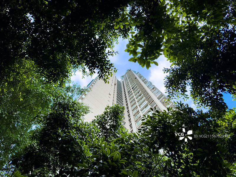 低视角绿化丛中仰望住宅楼和天空图片素材