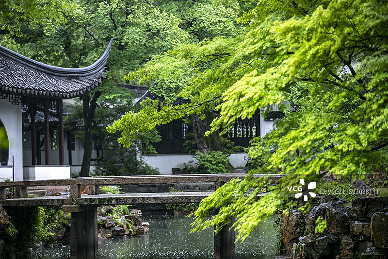 烟雨江南拙政园 五月雨景图片素材