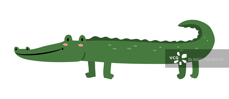 可爱的丛林动物：鳄鱼或短吻鳄图片素材