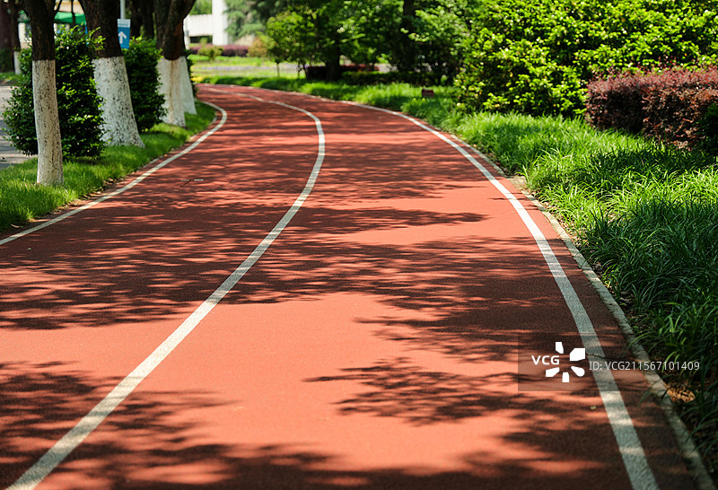 阳光下的绿荫跑道图片素材