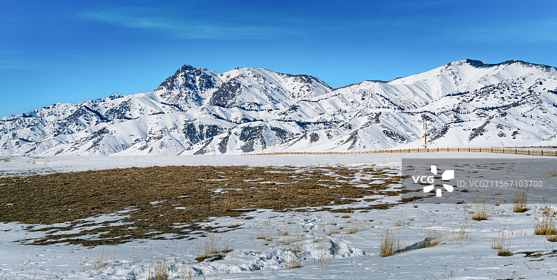 雪天一线图片素材