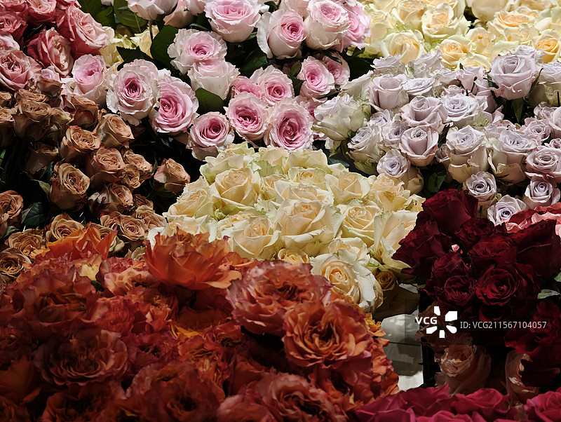 花店里正在售卖的五颜六色玫瑰花图片素材