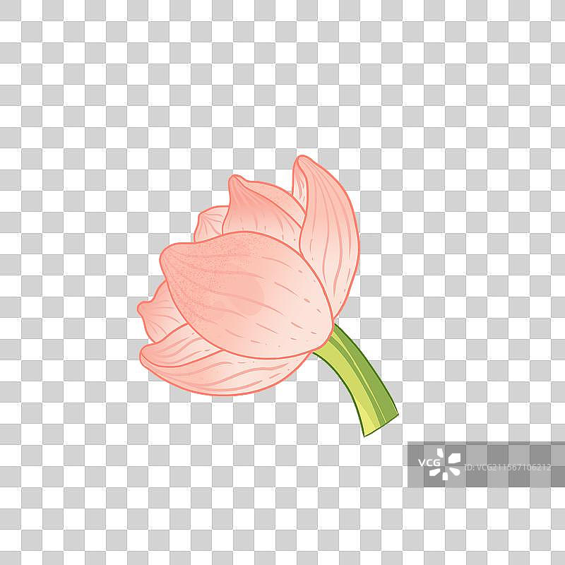 年年有余生肖马IP坐在莲花里抱鲤鱼，鲤鱼嘴里有铜钱图片素材