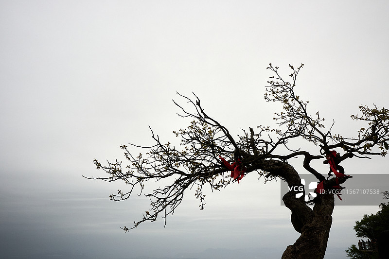 高处不胜寒图片素材