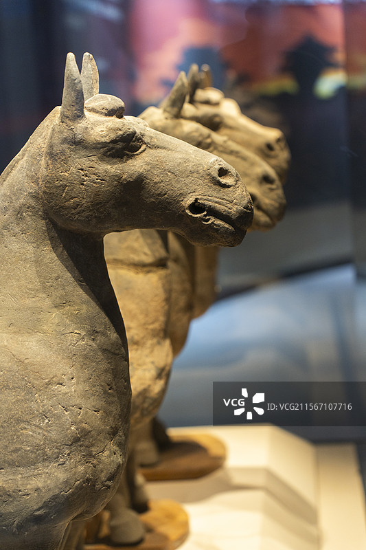 徐州博物馆汉代文物兵马俑图片素材