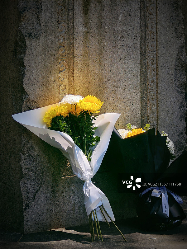 清明祭祀菊花图片素材