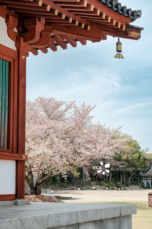 奈良药师寺图片素材