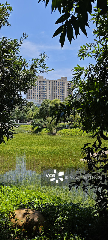 校内湖水图片素材