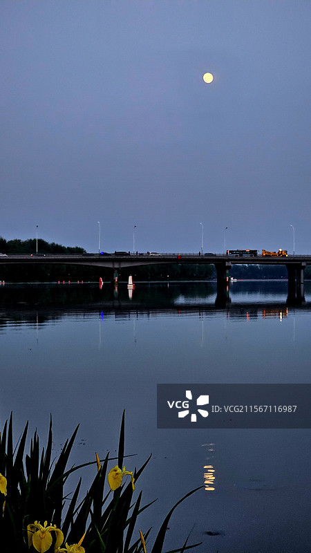 皓月当空图片素材