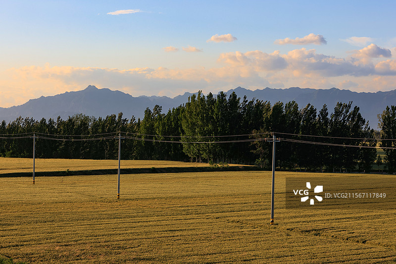 孟州市白墙水库初夏傍晚风光图片素材