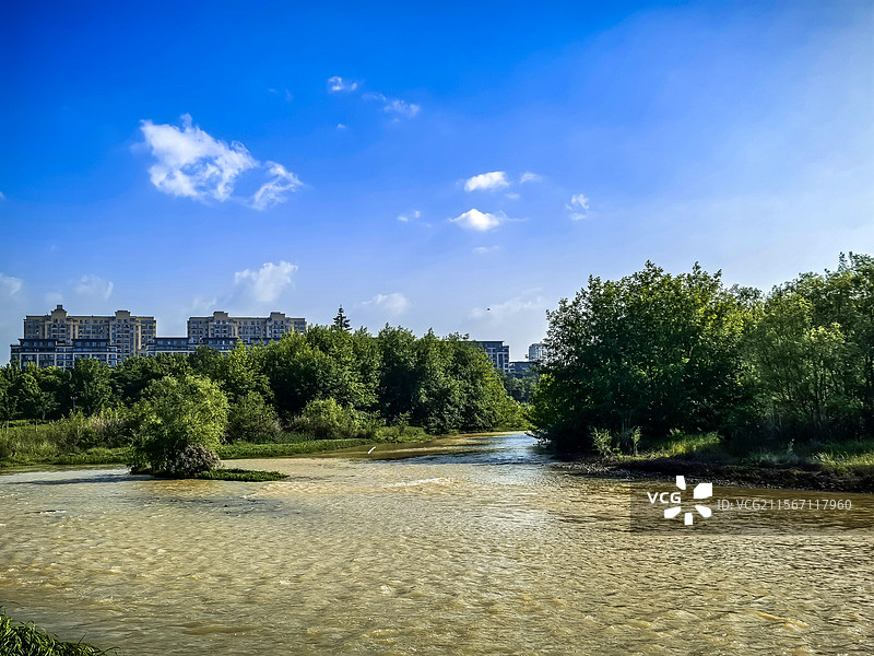 浙江衢州城市绿化工程美景图片素材