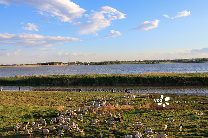 孟州市白墙水库初夏风光图片素材