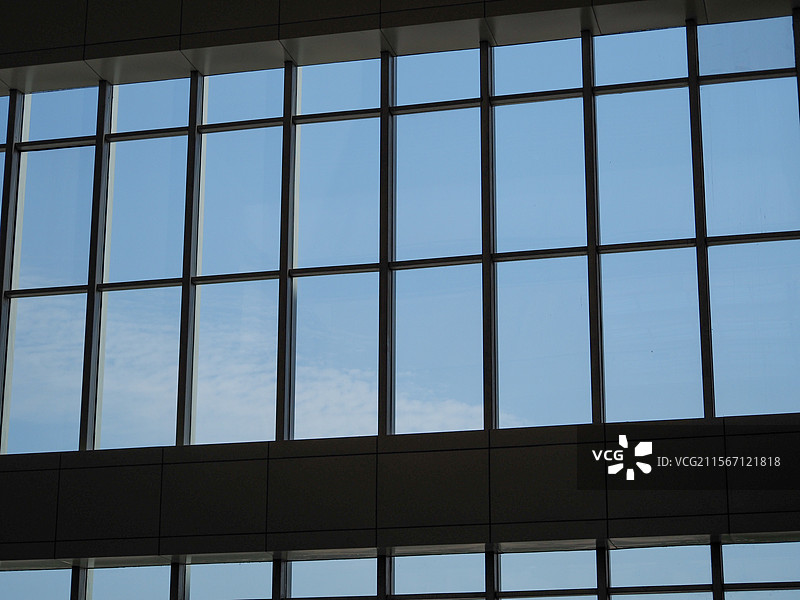 城市绿意窗景图片素材