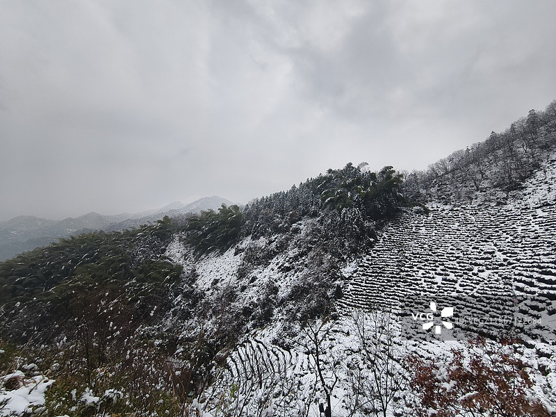 金华浦江高塘村山顶雪景图片素材