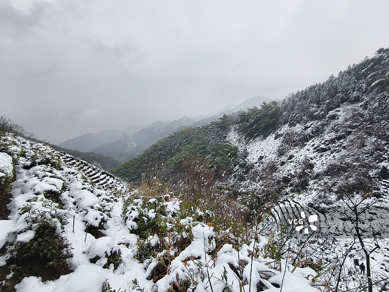 金华浦江高塘村山顶雪景图片素材