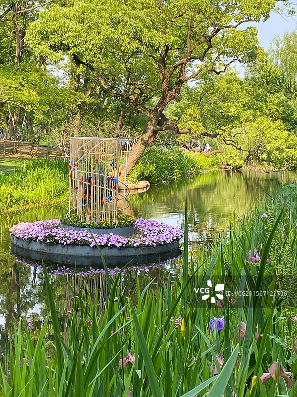 共青森林公园莫奈花园景色图片素材