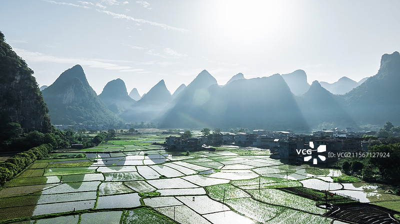 日出时分桂林喀斯特山谷中正在插秧的稻田图片素材