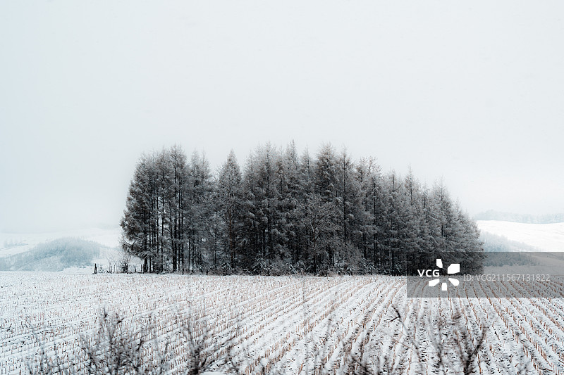 长白山图片素材