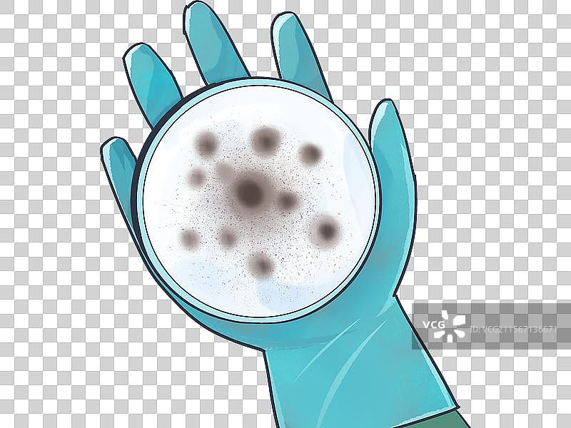 曲霉菌是一种真菌，被世界卫生组织列为1级致癌物质，其毒性是砒霜的66倍。图片素材