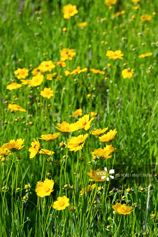 文昌湖公园图片素材