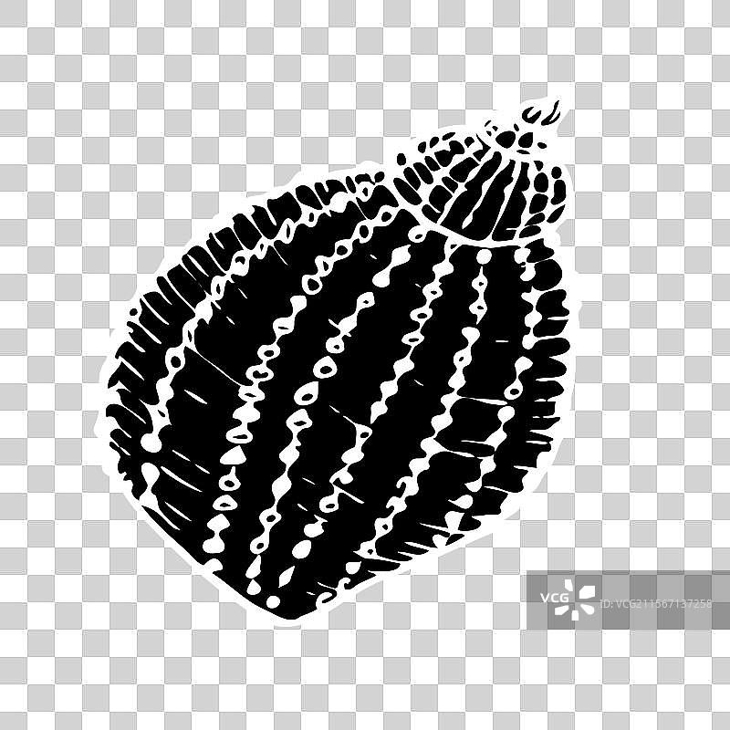 手绘黑色贝壳轮廓图片素材