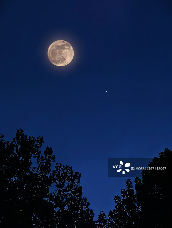 蓝色的星空下十五的月亮图片素材