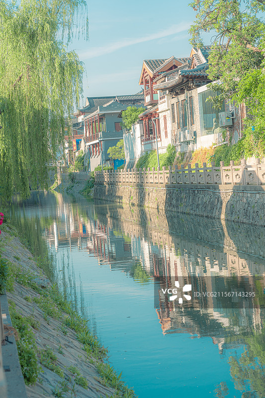 扬州小秦淮河苦楝花图片素材