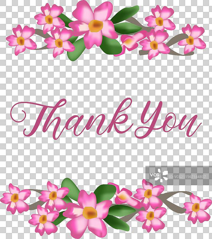 沙漠玫瑰花卉边框和框架图片素材