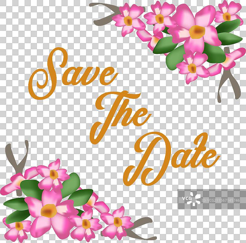 沙漠玫瑰花卉边框和框架图片素材