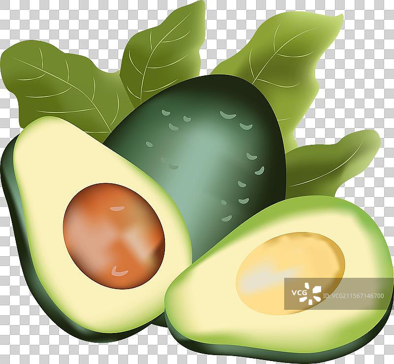 逼真的鳄梨果实和叶子图片素材