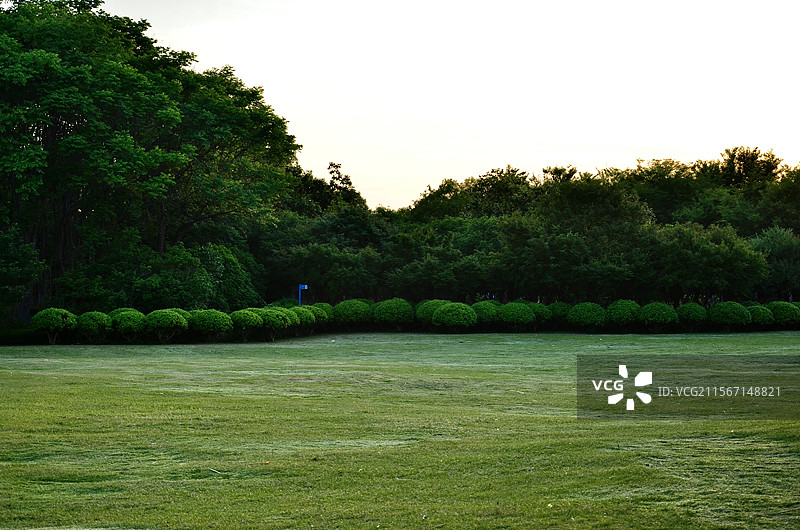 公园草坪图片素材