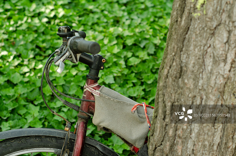停靠在树旁的自行车图片素材