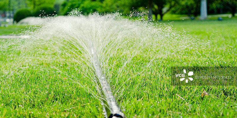 草坪中洒水图片素材