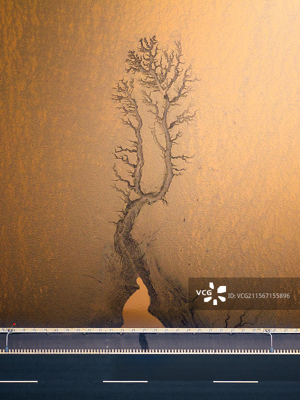 大地盆景图片素材