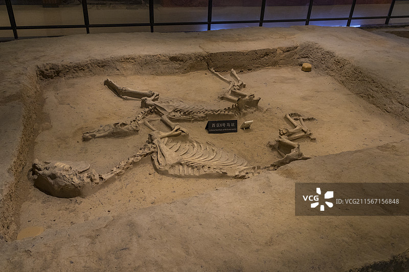 洛阳周王城天子驾六博物馆，车马坑图片素材