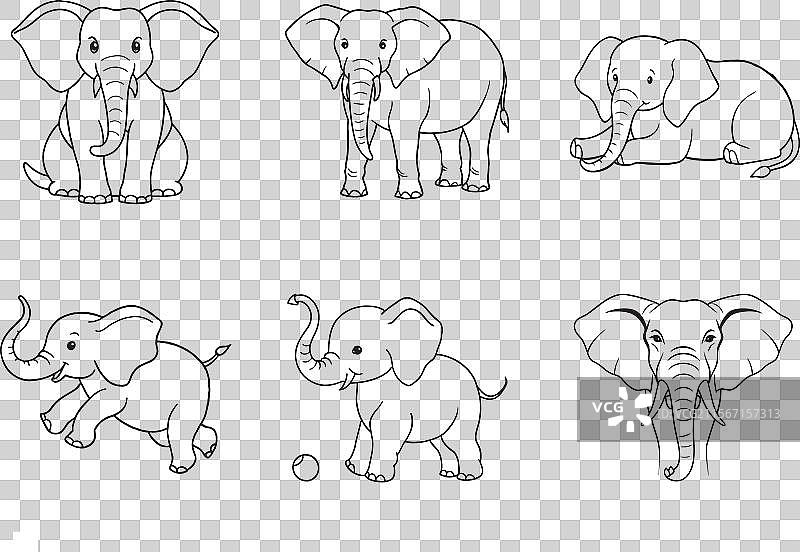 雄伟的大象线条艺术套装图片素材