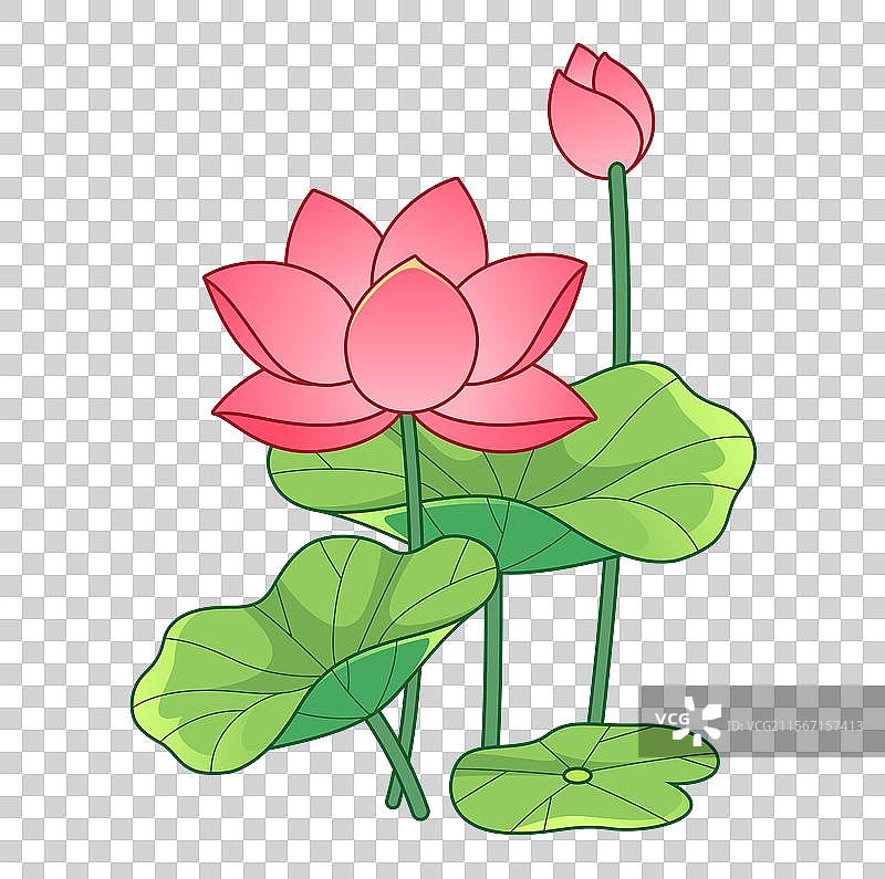矢量荷花荷叶卡通描边插画图片素材