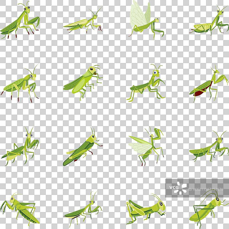 可爱的螳螂扁平图标网络合集图片素材