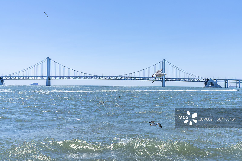 星海湾跨海大桥图片素材