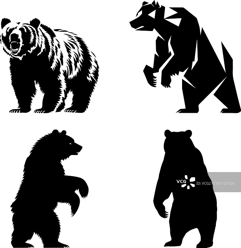 四个强壮的熊剪影在白色背景上图片素材