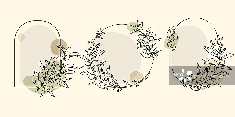 极简主义橄榄植物框架套装图片素材