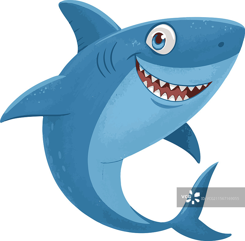 鲨鱼图片素材