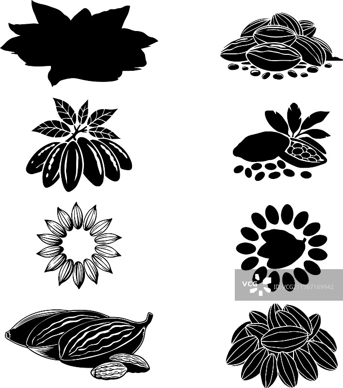 优雅的黑白可可豆和可可荚图片素材