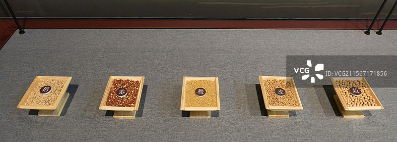 中国第一历史档案馆五谷五谷指五种粮食作物即稻黍稷麦菽(一说为麻黍稷麦菽)稷为五谷之长为五谷神图片素材