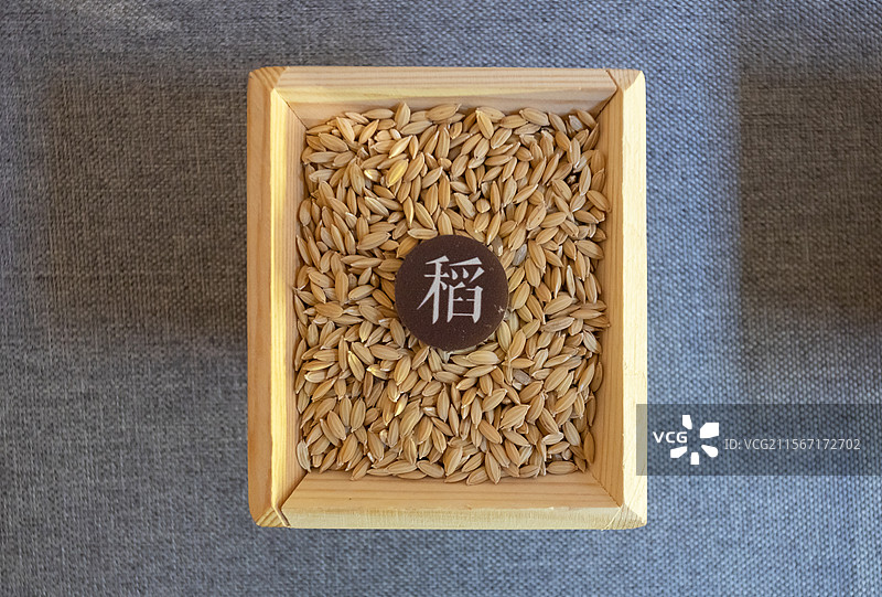 中国第一历史档案馆五谷稻谷五谷指五种粮食作物即稻黍稷麦菽(一说为麻黍稷麦菽)稷为五谷之长为五谷神图片素材