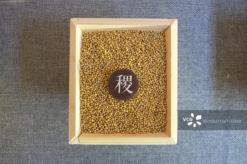 中国第一历史档案馆五谷五谷指五种粮食作物即稻黍稷麦菽(一说为麻黍稷麦菽)稷为五谷之长为五谷神图片素材