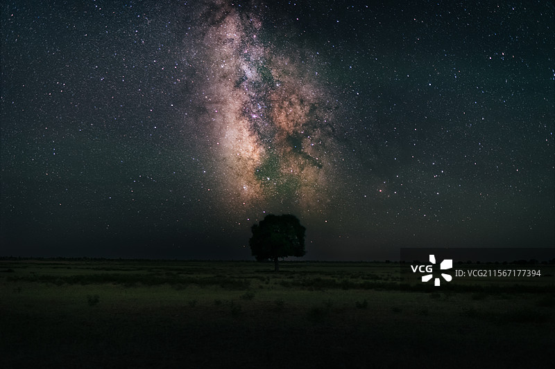 七星湖孤树星空图片素材